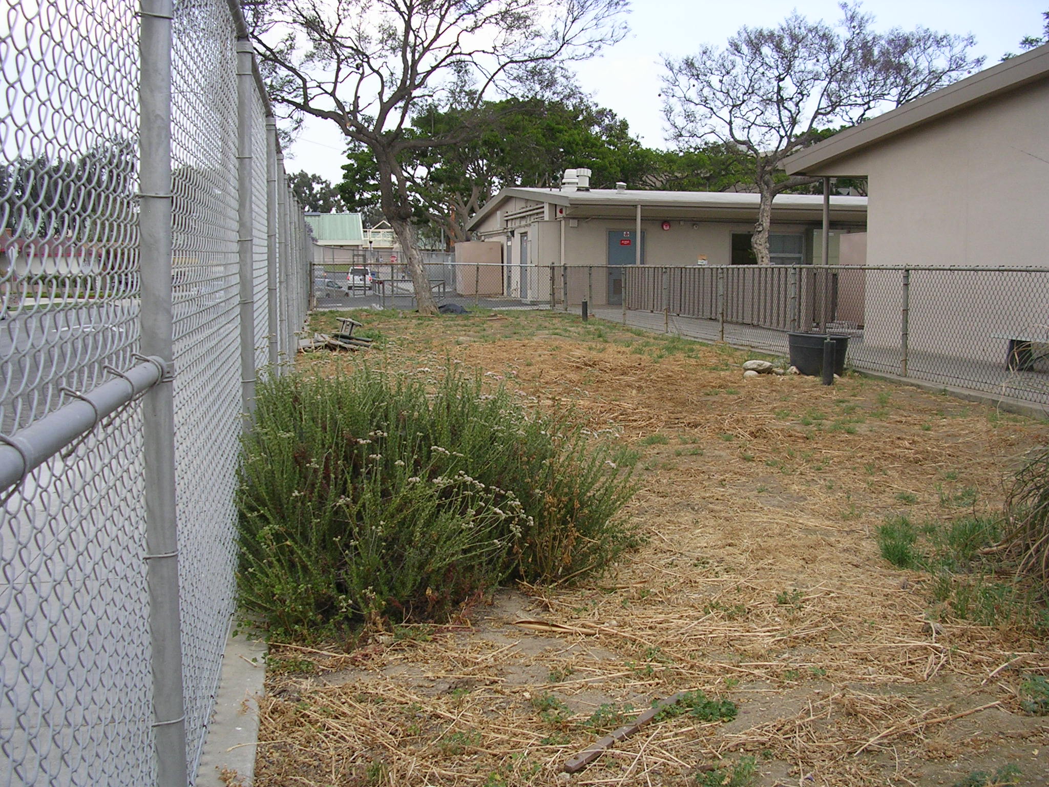 Garden2ndview