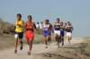 na10_crosscountry_action_302_small.jpg