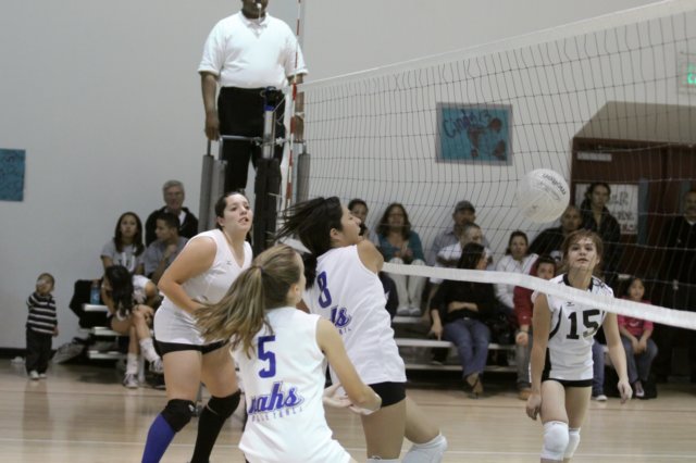 na10_girlsjvvolleyball_action_039.jpg