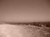 dsc02434_small.jpg