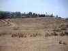 dsc02439_small.jpg