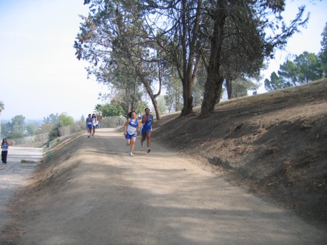 img_0847.jpg