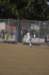 na09_baseball_219_small.jpg