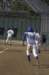 na09_baseball_255_small.jpg