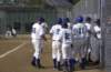 na09_baseball_281_small.jpg