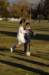 na_boysjvsoccer_09_059_small.jpg