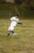 na_boysjvsoccer_09_146_small.jpg