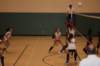 img_2207_small.jpg