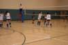 img_2278_small.jpg