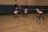 img_2310_small.jpg