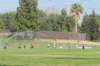 na09_var_softball_129_small.jpg