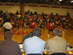Volley 2005