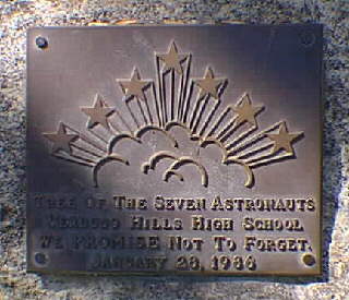 Closeup of Plaque
